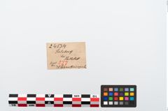 Etikett zu Bernsteinperlenkette (NHMW-PRAE-024534)